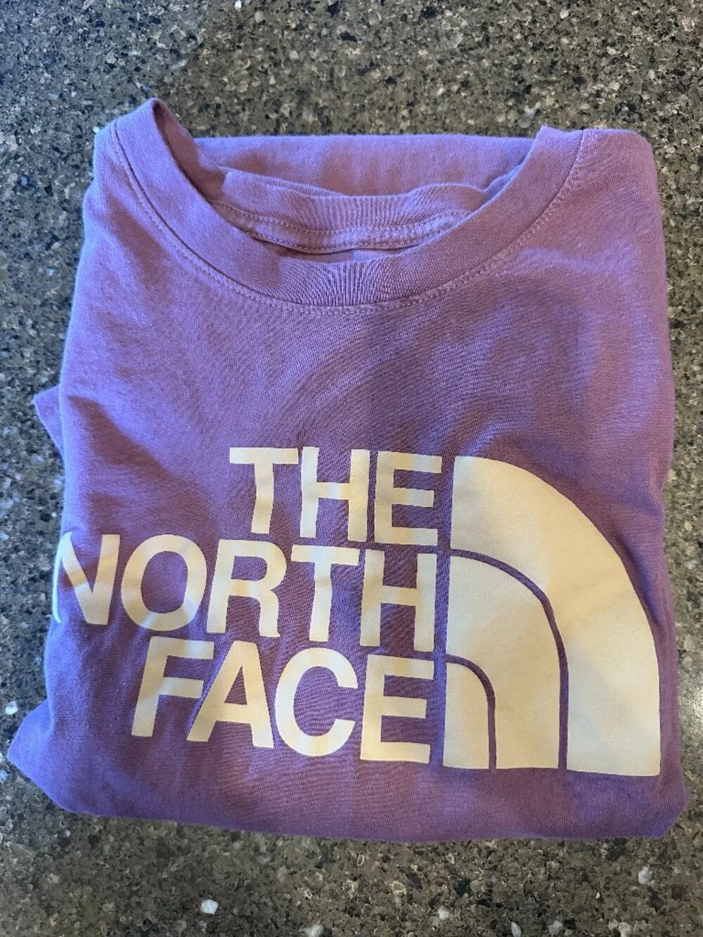 Men's The North Face Half Dome Logo T-Shirt, NWOT
